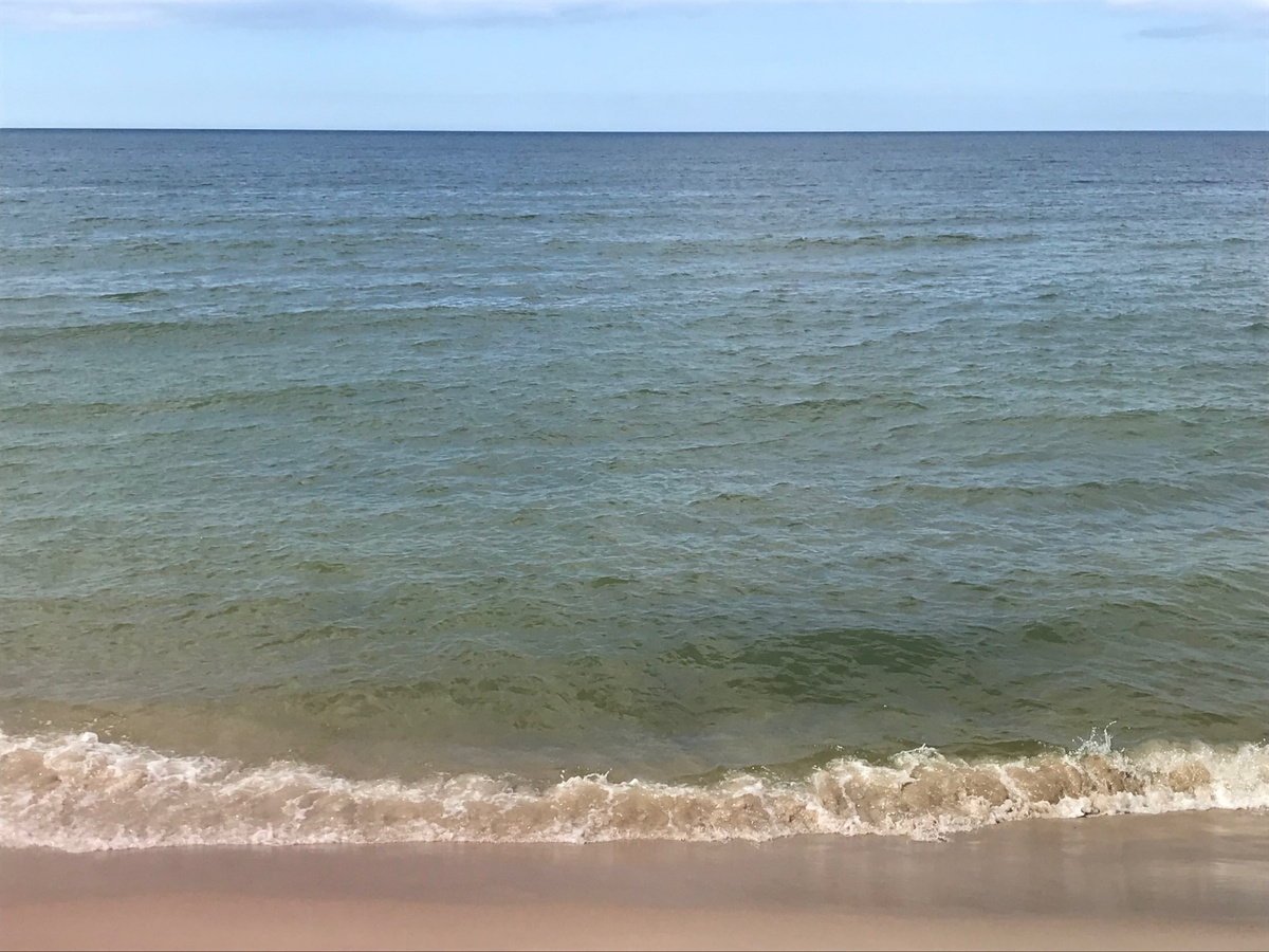 Балтийская палитра. Фото автора