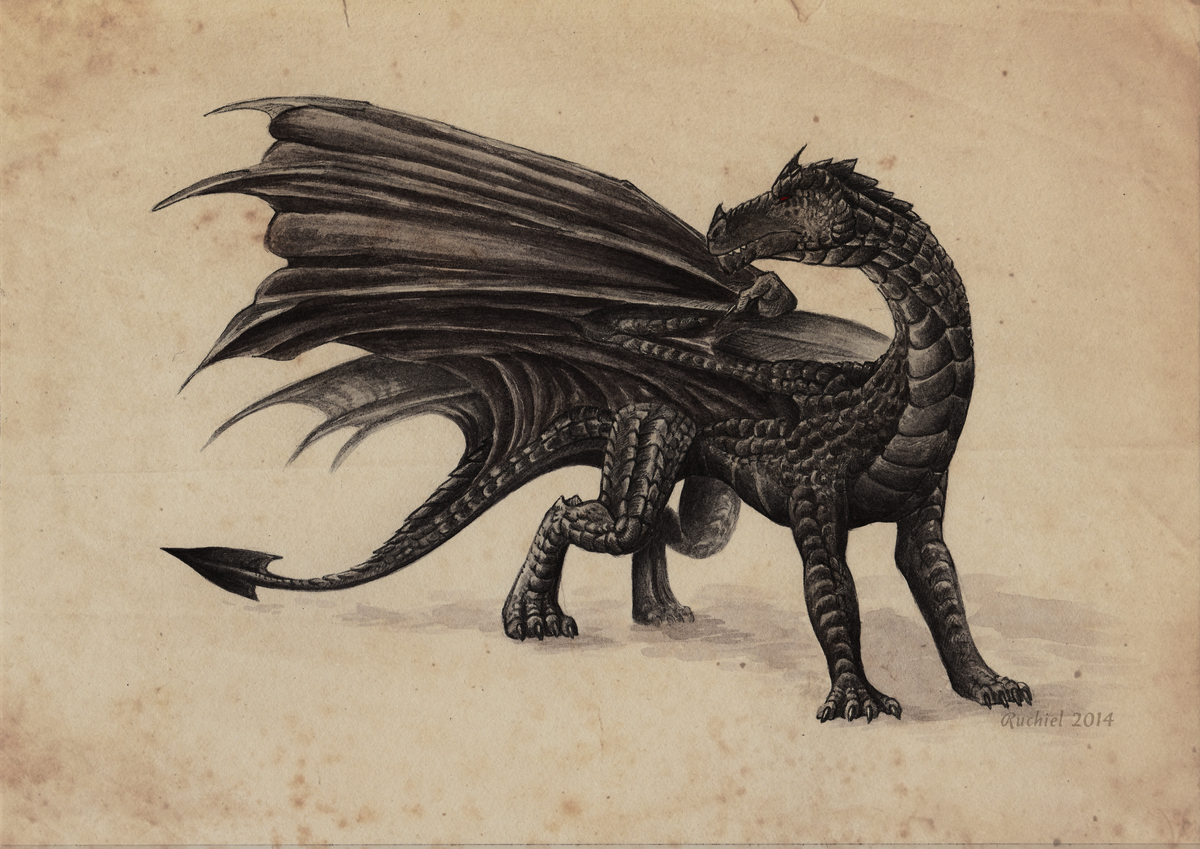 Гебридский черный дракон. https://www.weasyl.com