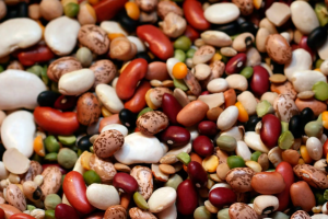 Недавно институт по изучению рака пришел к выводу, что фасоль находится на вершине списка продуктов, напрямую влияющих на долголетие человека. Ученые даже настаивают на том, чтобы бобовые культуры присутствовали в каждом приеме пищи, а банка с консервированной фасолью обязательно была наготове, если вдруг нет времени на долгое приготовление еды.