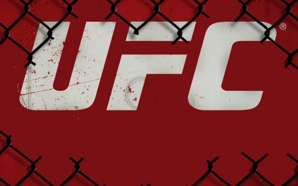Промоушен UFC (Ultimate Fighting Championship) является самой популярной организацией смешанных единоборств в мире, в которой выступают сильнейшие бойцы. Ежегодно проводится больше тридцати турниров. Каждый месяц промоушен организовывает от одного до двух больших номерных турниров и несколько второстепенных ивентов.  