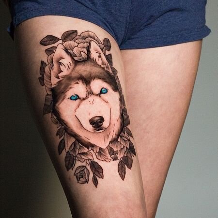 Голубоглазый хаски