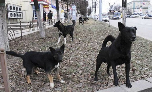 фото: Александр Зинченко