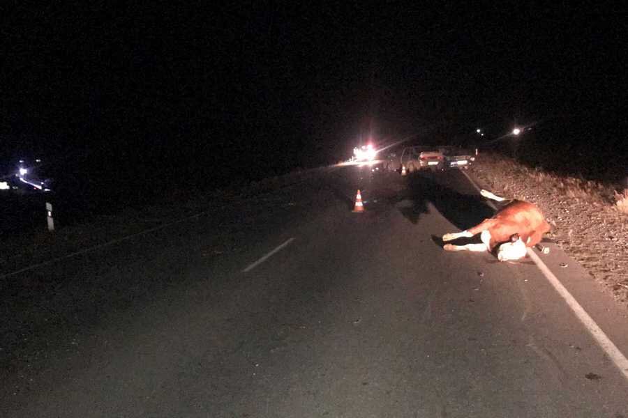 Фото УГИБДД России по Хакасии