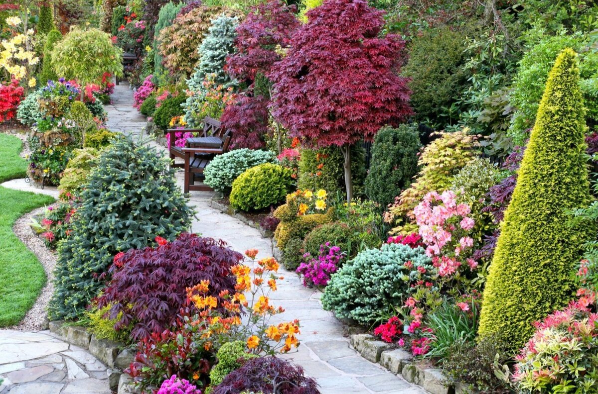 Большинство декоративных растений выращивают ради их цветения (в садоводстве и цветоводстве их называют красивоцветущими), другие — ради листвы, в том числе её осенней окраски (декоративно-лиственные), или хвои, плодов (декоративно-плодные), реже — коры, как Клён зелёнокорый (Acer tegmentosum).