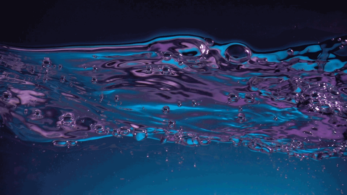 Источник изображения: giphy.com