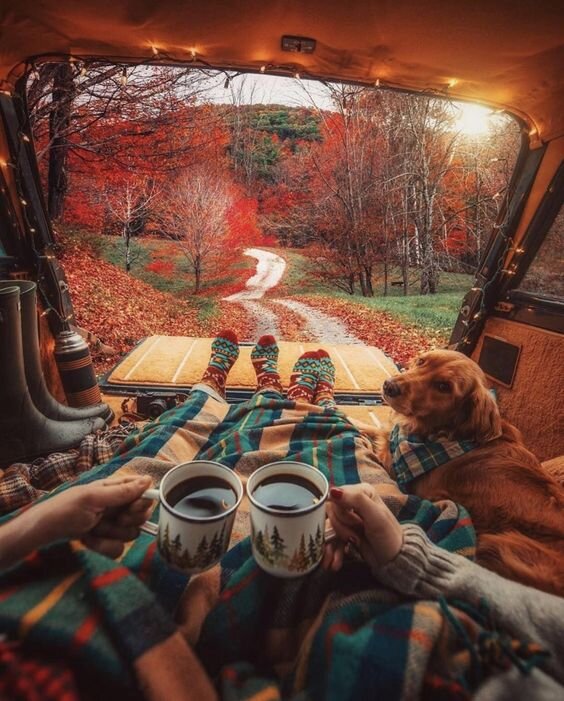 https://www.pinterest.com/pin/836825174492757081/