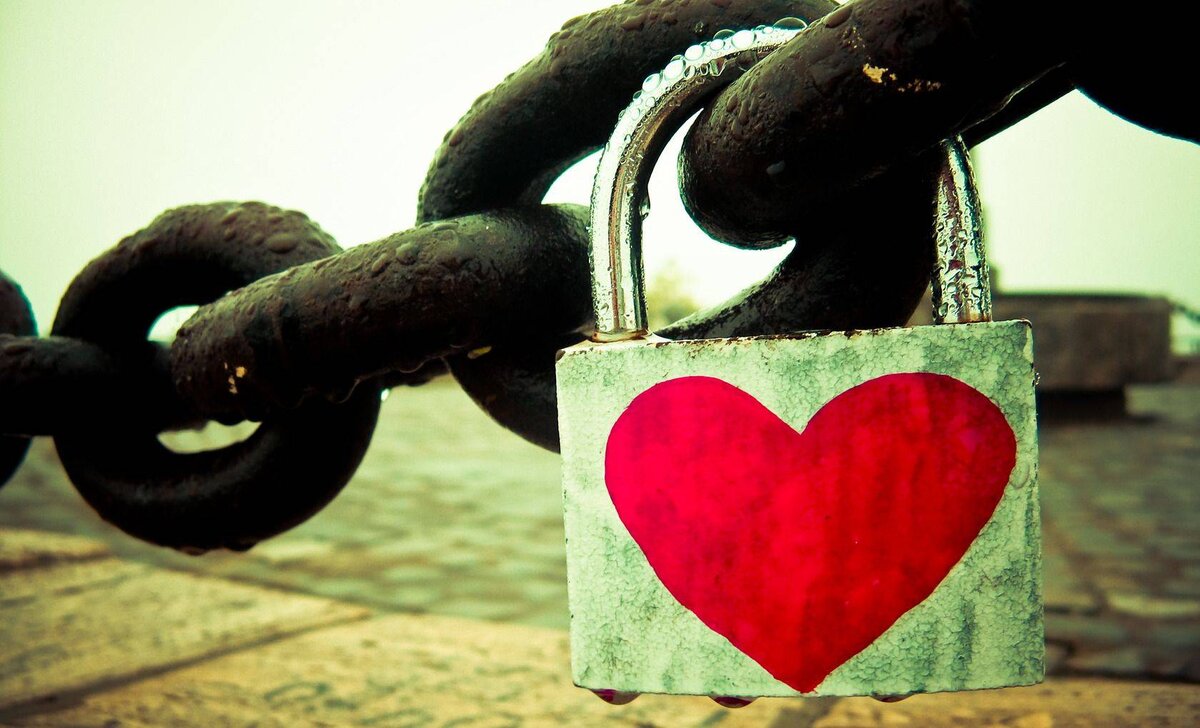 фото из открытых источников