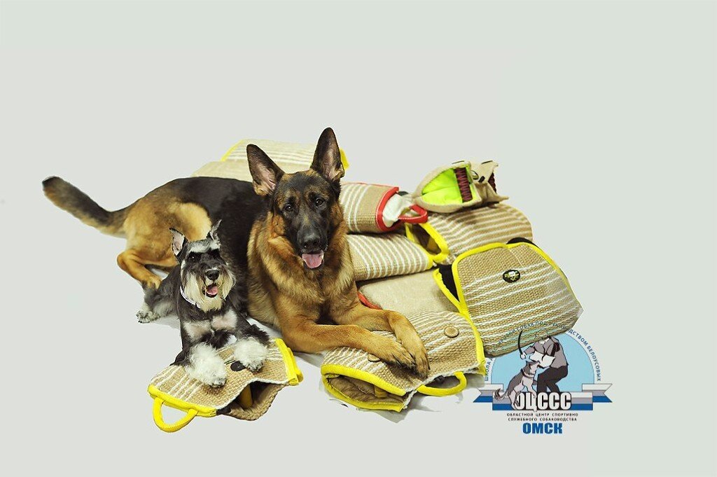 ОЦССС - школа чемпионов!