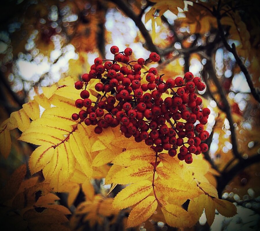 (картинка с сети)