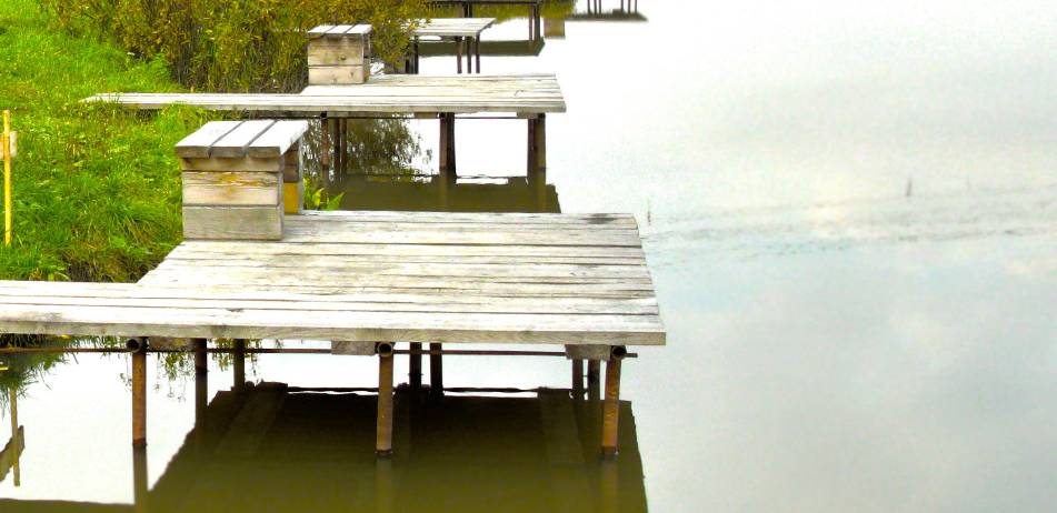 Фото из открытых источников интернета