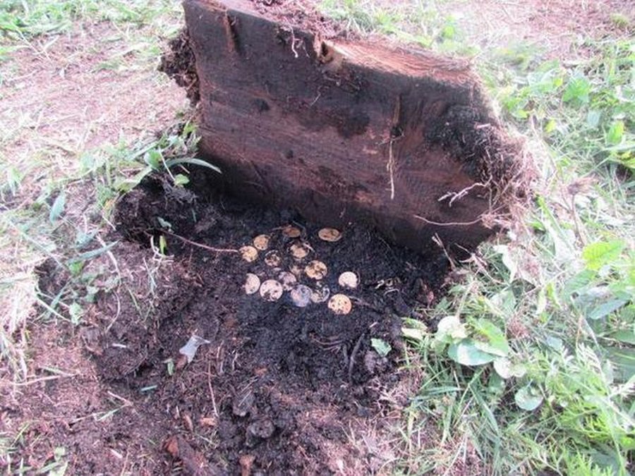 Фото взято с http://chert-poberi.ru/interestnoe/poiski-klada-v-ogorode-6-foto.html