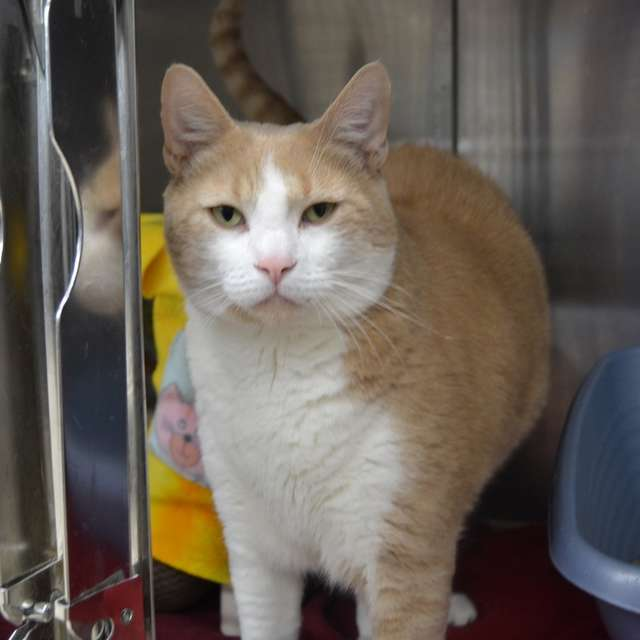 Такооой взгляд^^