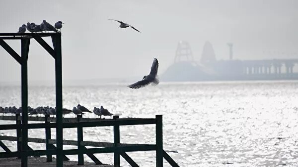 Вид на Керченский пролив с набережной в Керчи. Архивное фото