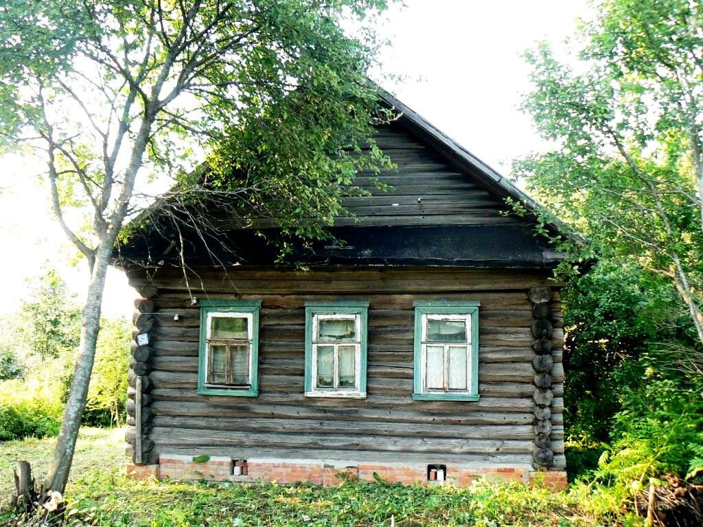 фото взято из свободной галереи Яндекс.Картинки