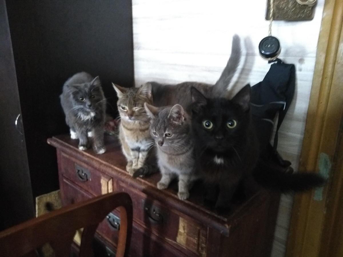 Пора кушать