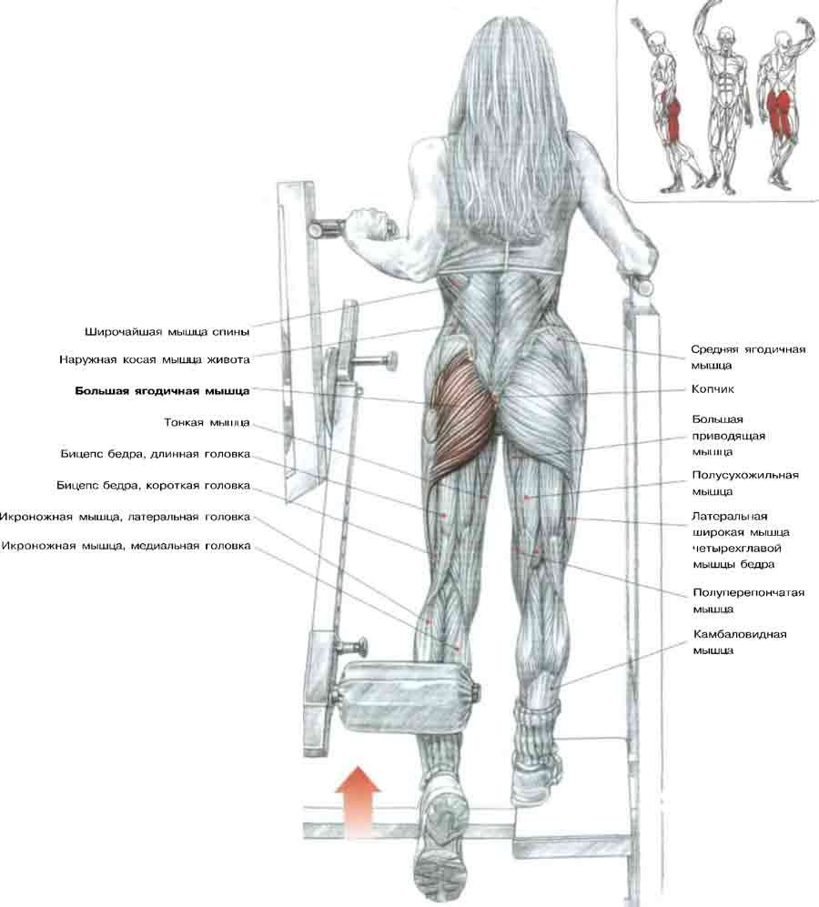 Качаем мышцы бедра. Отведение ноги назад в тренажере мышцы. Отведение ноги назад в тренажере ягодичные мышцы техника. Отведение бедра в тренажере стоя. Тренажеры для большой ягодичной мышцы.