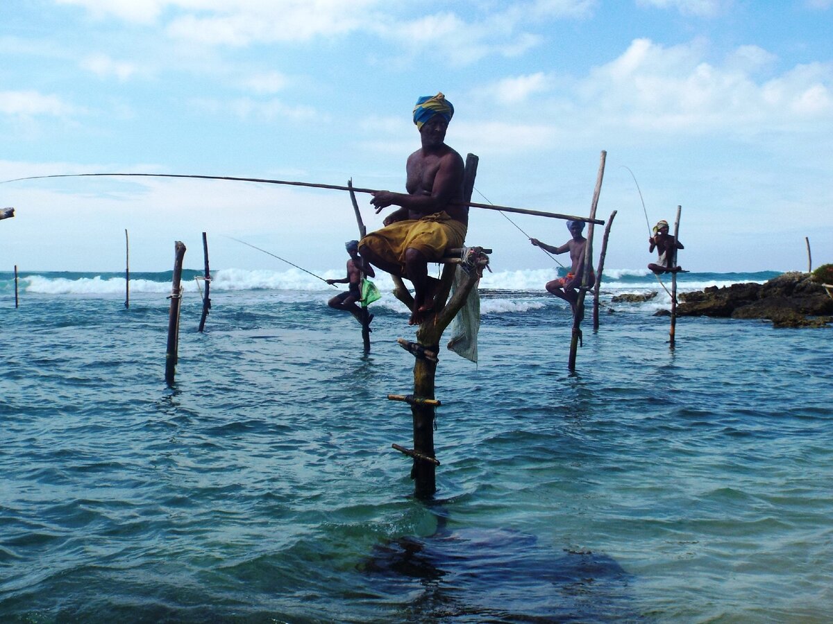 Ловля рыбы на шестах