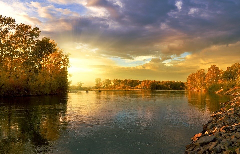 https://pixabay.com/images/id-219972/