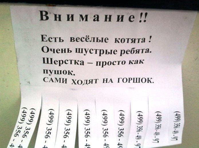 После объявления. Прикольные объявления о работе в картинках. Объявления шуточные о продаже человека. Смешные объявления о работе. Смешные объявления на доске объявлений.