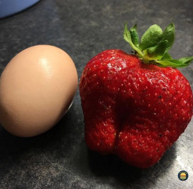 Большая клубника