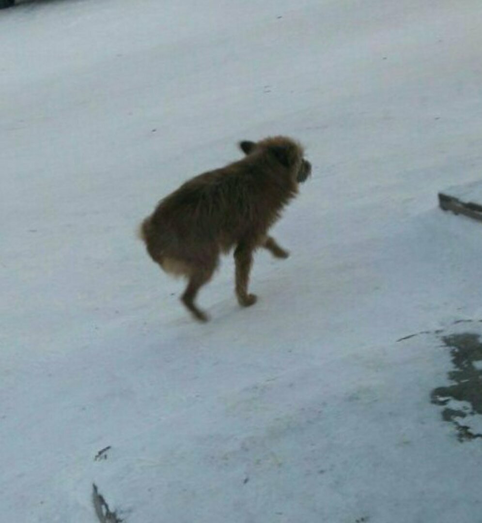 На улице- 37 !