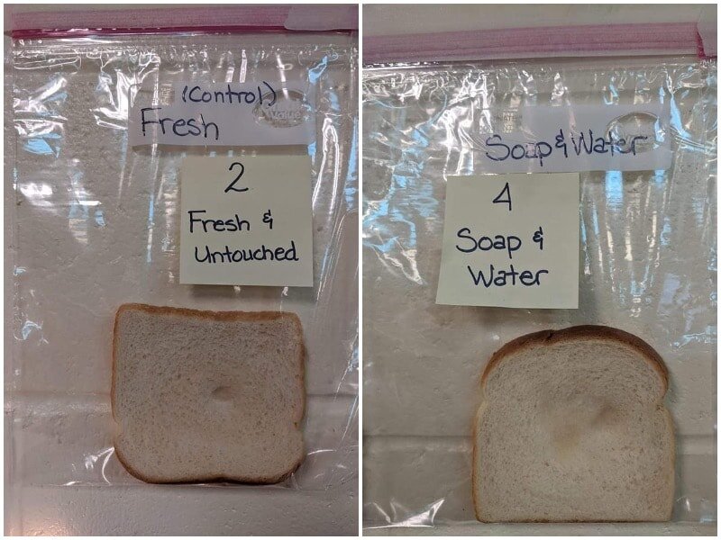 фото: Jaralee Annice Metcalf