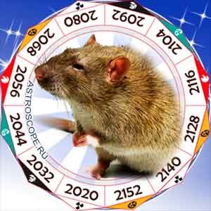 взято с интернета