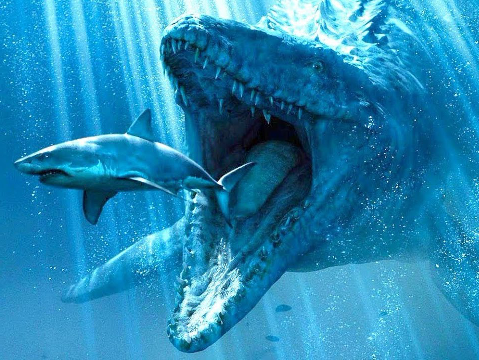 У меня зубки больше.