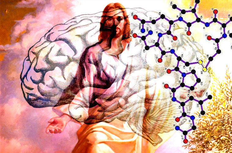 Христос, мозг, нейрохимия. 