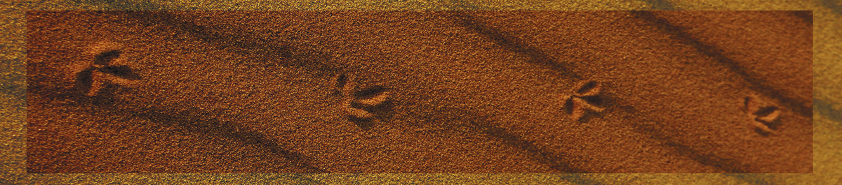 Photo by John Doyle on Unsplash