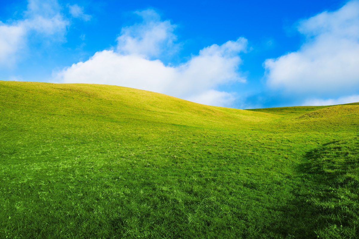 Источник изображения: https://www.freepik.com/