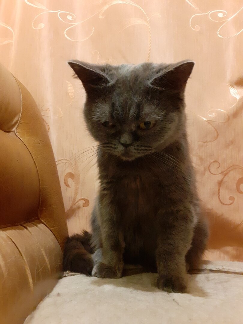 Фото из личного архива автора.