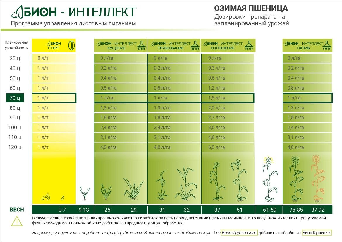 Отчет по озимой пшенице ООО 