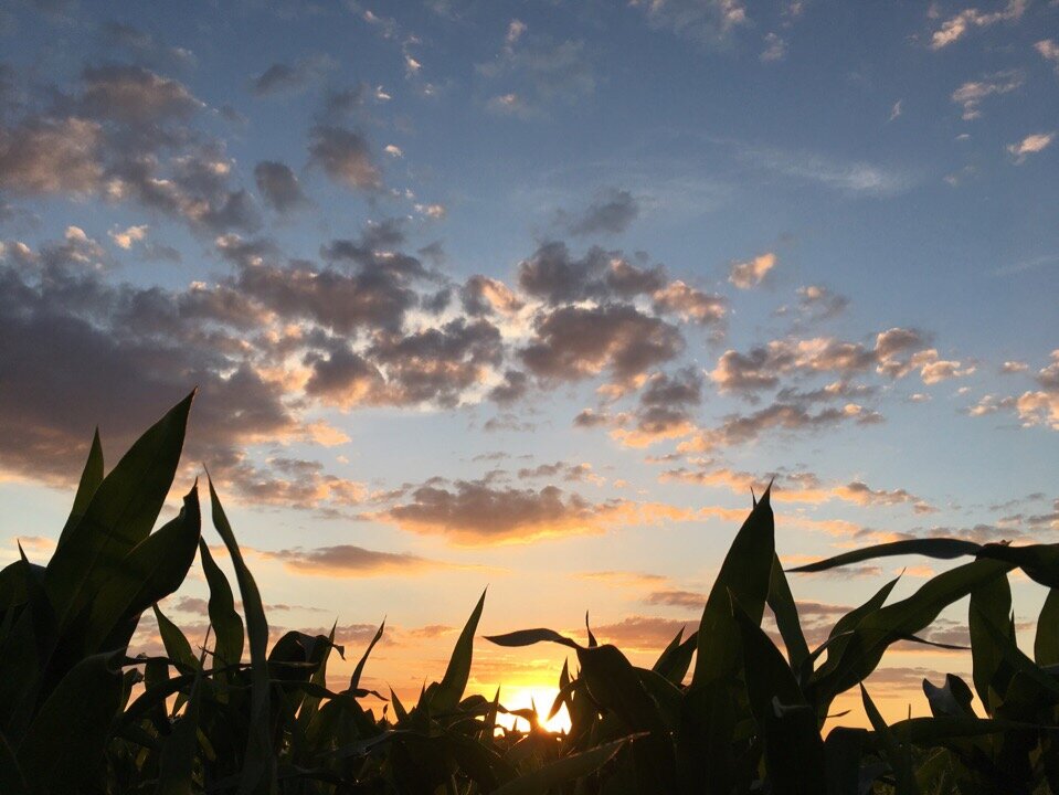 Обои это изысканное явление