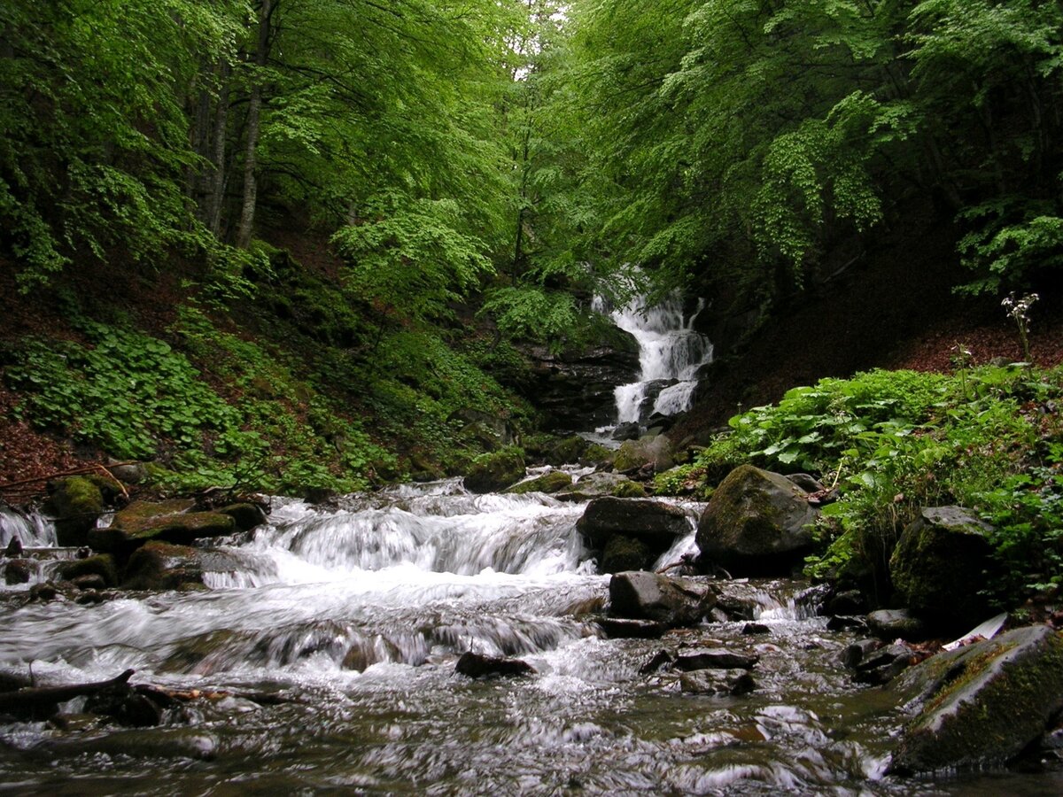 Закарпатье, водопад: https://ru.tokkoro.com/3383107...