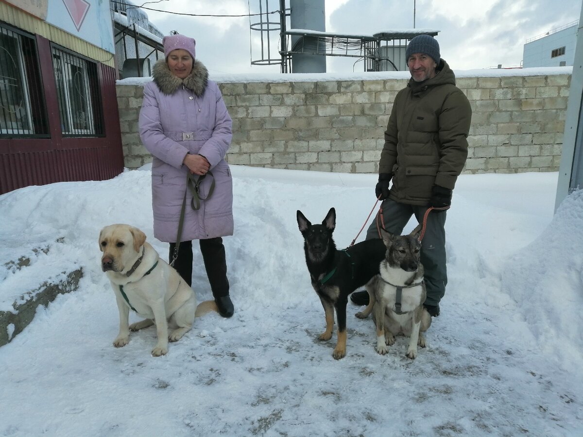 Во дворе ветеринарки