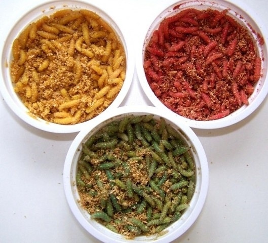 Сроки хранения такой популярной наживки для рыбалки могут различаться в зависимости от некоторых показателей, таких как: 
температура;

соотношение субстрата к личинкам;

качество субстрата и его влажность;

своевременная замена субстрата;

используемая тара для хранения.

Как и в чём хранить опарыш?

Температура в минус два градуса — является наиболее подходящей для хранения личинок. Стоит отметить, что такая температура считается наилучшей, также для их промышленного разведения. В бытовых условиях, то есть дома — лучшим вариантом будет хранение в холодильнике, где температура сохраняется от 0 до +4. В таких условиях опарыш отлично хранится в течение 3-4 недель, хотя можно и немного дольше, но не более трех месяцев, так как не окуклившиеся личинки сильно худеют, а их качество значительно ухудшается.

Исходя из вышесказанного, не следует получать личинок на срок хранения более одного месяца. Выгоднее приобретать опарышей, которые не достигли кондиции. В таком случае выбирается нужное количество из контейнера и доращивается до необходимых товарных размеров.

Одним из лучших материалов, играющих роль субстрата являются опилки небольших размеров, образовавшиеся от лиственных деревьев, пропущенные через сито с ячейкой около 2,5 сантиметров. Не рекомендуется использовать сосновые опилки, содержащие большое количество смолистых веществ. Опилки должны обладать определенной влажности: не мокрыми и не сухими. Лучше всего, если опилки слегка влажные на ощупь. Этого можно добиться, слегка увлажнив их водой. После этого опилки нужно перетереть руками, чтобы распределить влагу равномерно по всей массе. На 1 объем опарышей берут 2 объема опилок. Некоторые в качестве субстрата используют песок, манку или пшеничные отруби. Однако, результат будет намного хуже, в особенности при долгом хранении.