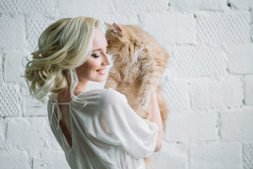 утро невесты с котиком