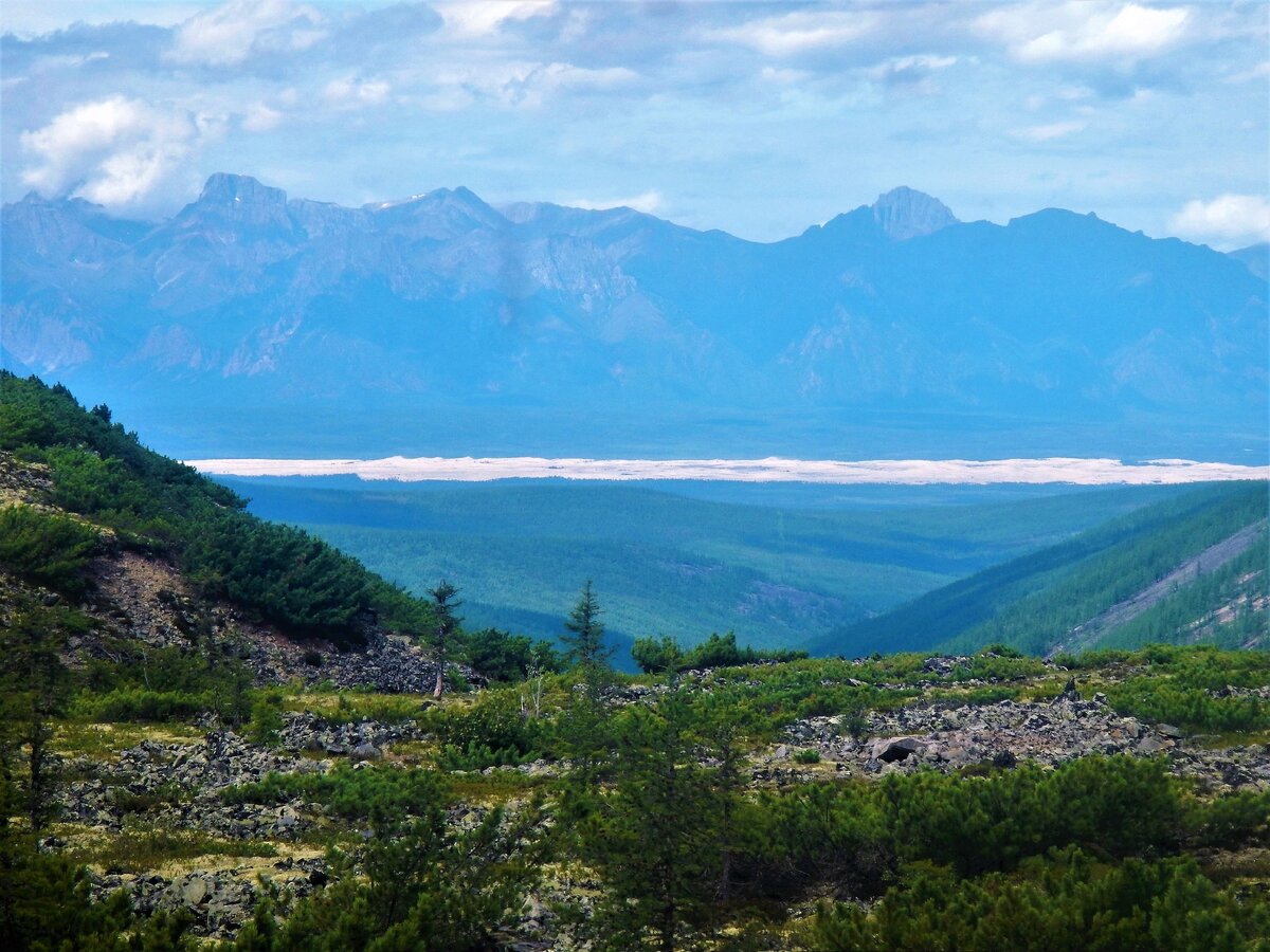 Чарская впадина