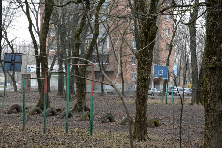 Фото: пресс-служба администрации Ростова-на-Дону