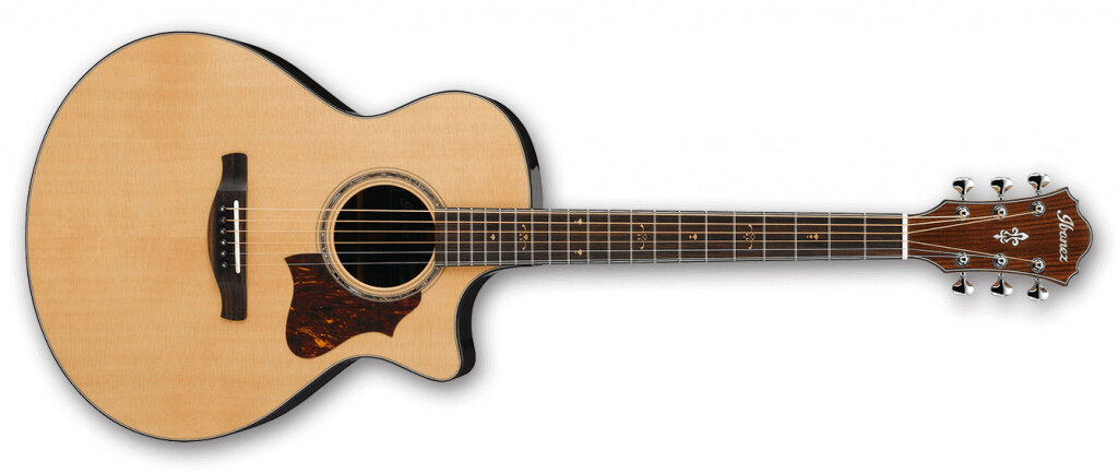 Источник: https://expertology.ru/upload/medialibrary/c48/IBANEZ-AE900_NT.jpg 