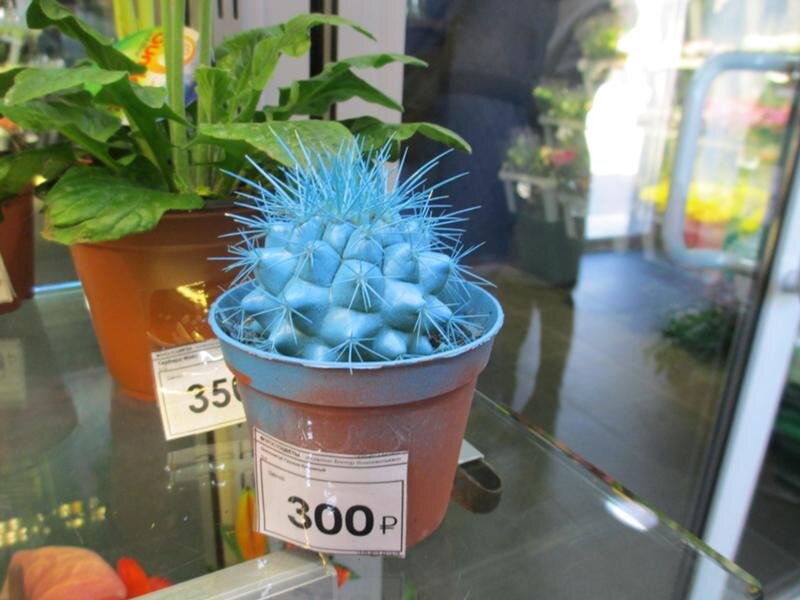 примерно такой появился и у меня...