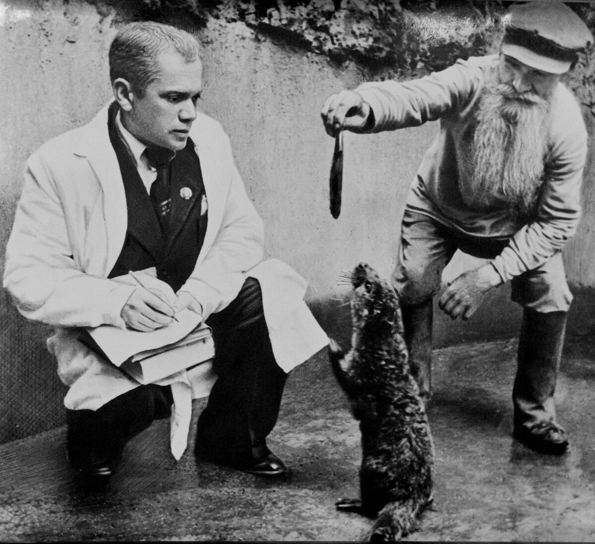 Зоопарк не закрывался ни на один день в Великую Отечественную войну