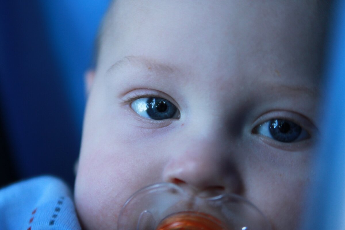 Любимая соска