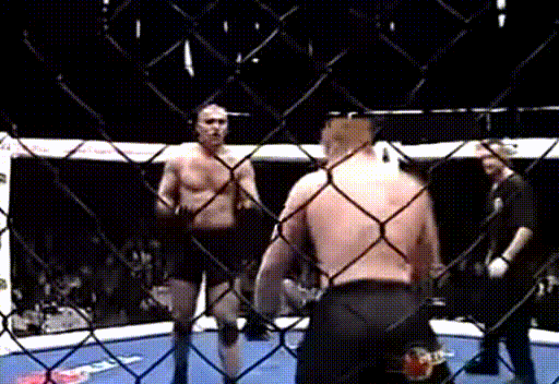 Удар кувырком Дацика