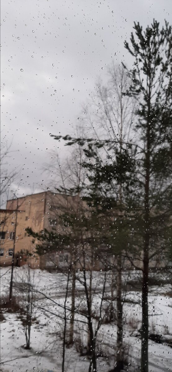 23 февраля