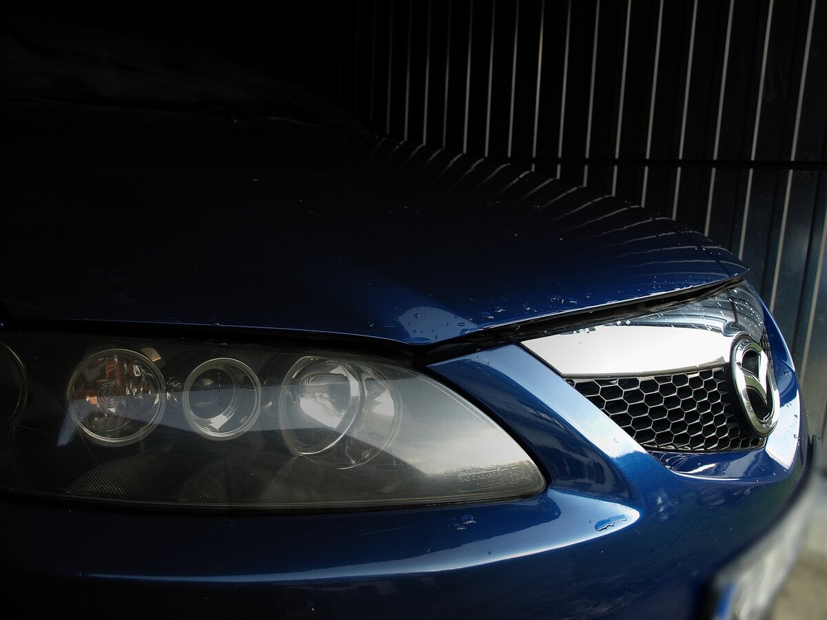 фото из интернета