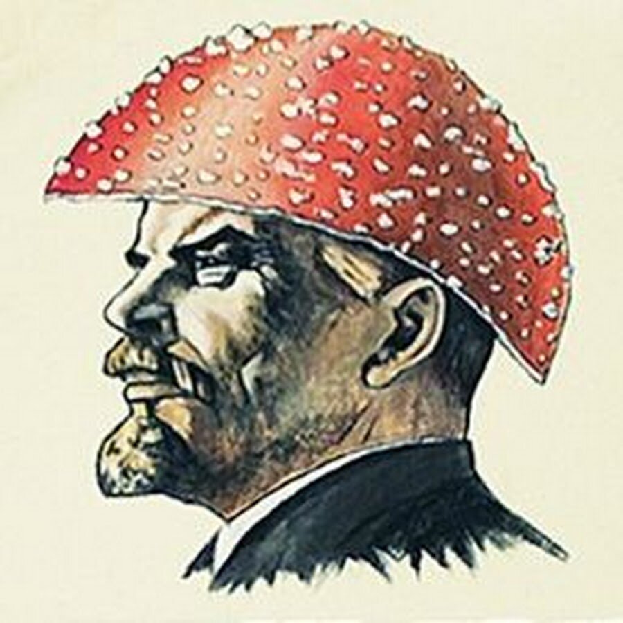 Плакат из дачи Ленина 