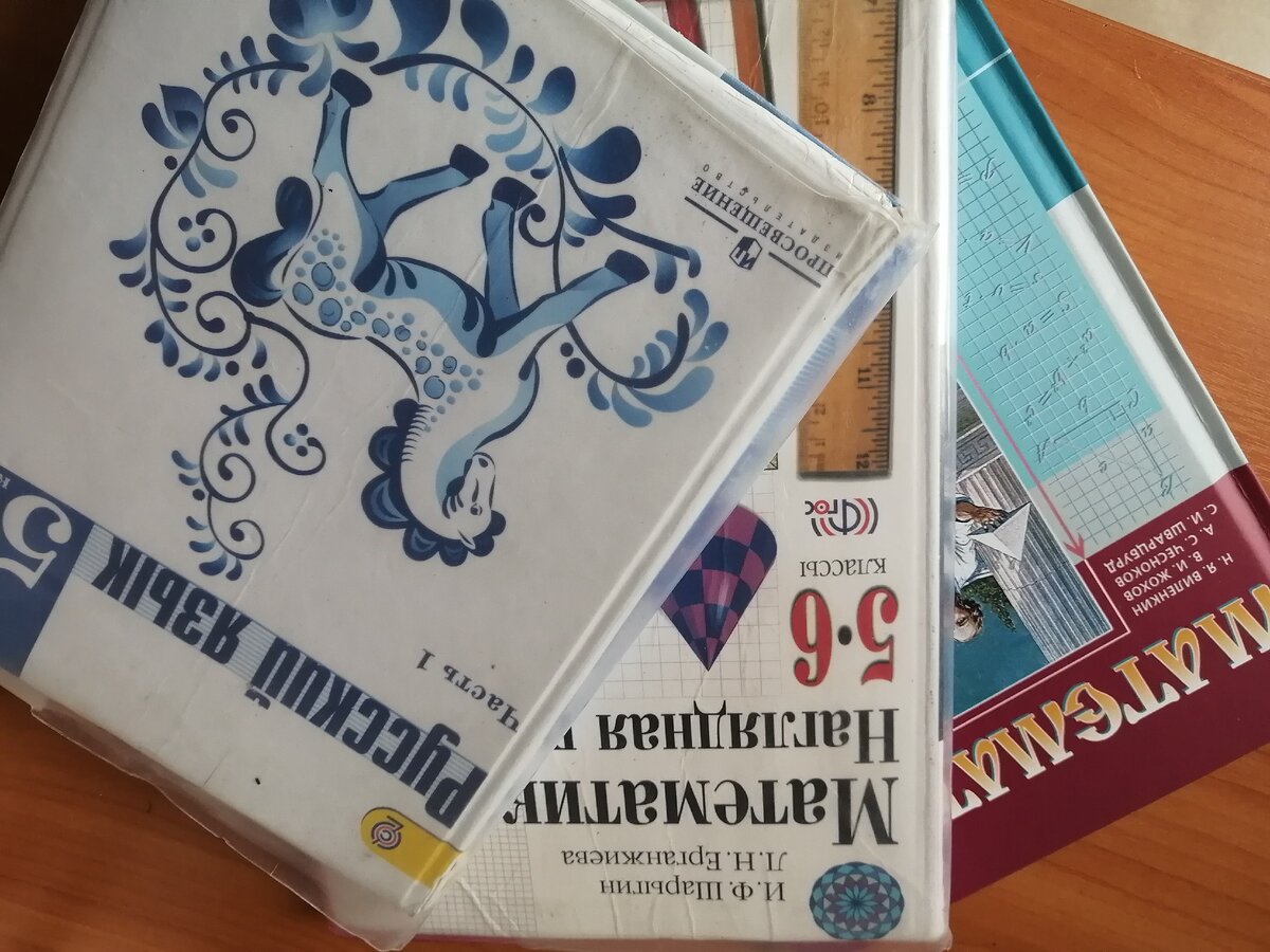 Малая толика наших учебников. 