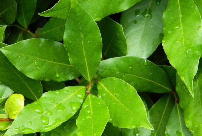 с просторов инета